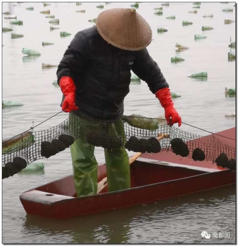 棺材、情趣内衣、小提琴……中国超猛小镇横扫全世界!