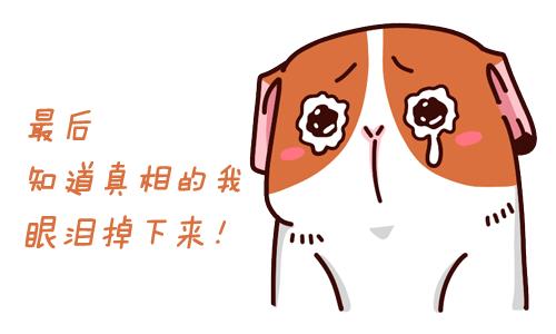 鑺滄箹涓滄柟钃濇捣杞︿綅,涓滄柟钃濇捣灏忓尯杞︿綅