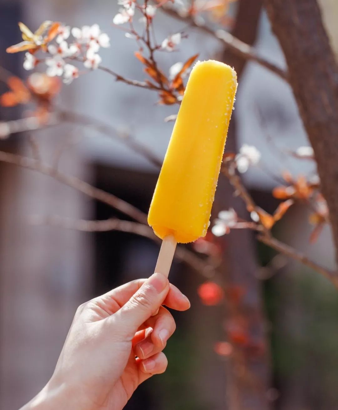 7.11便利店什么雪糕值得买,适合便利店的雪糕