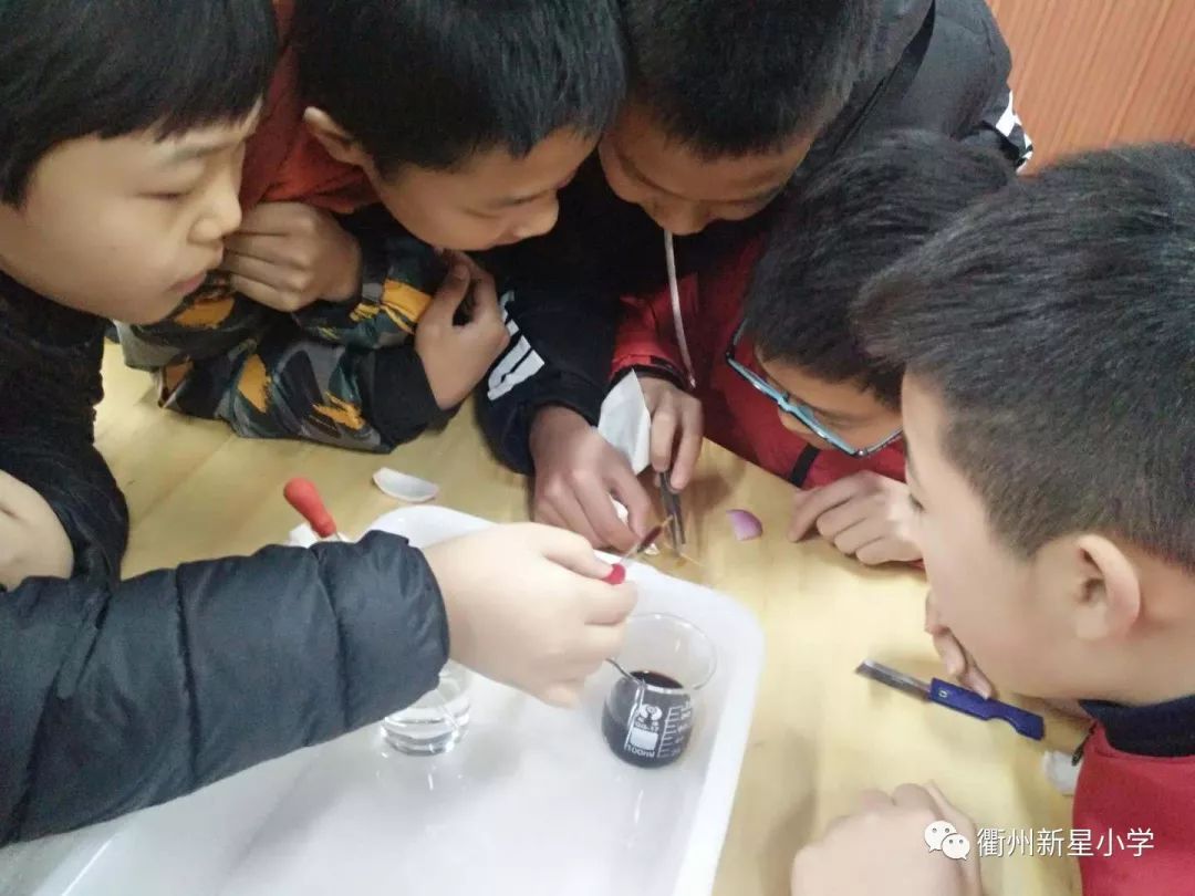 【9红先锋号】不忘初心匠心前行——记新星小学优秀*产党共**员李小建老师