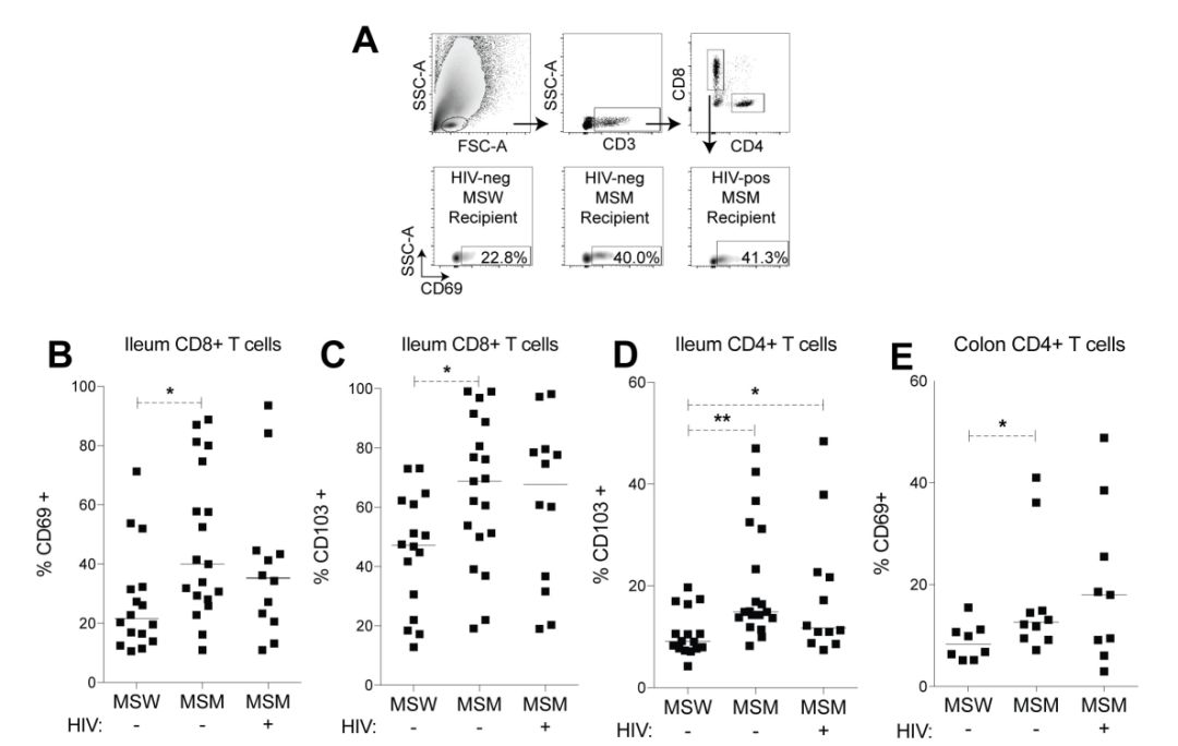 百晓生拿什么拯救你我的爱人,百晓生解析寄生虫