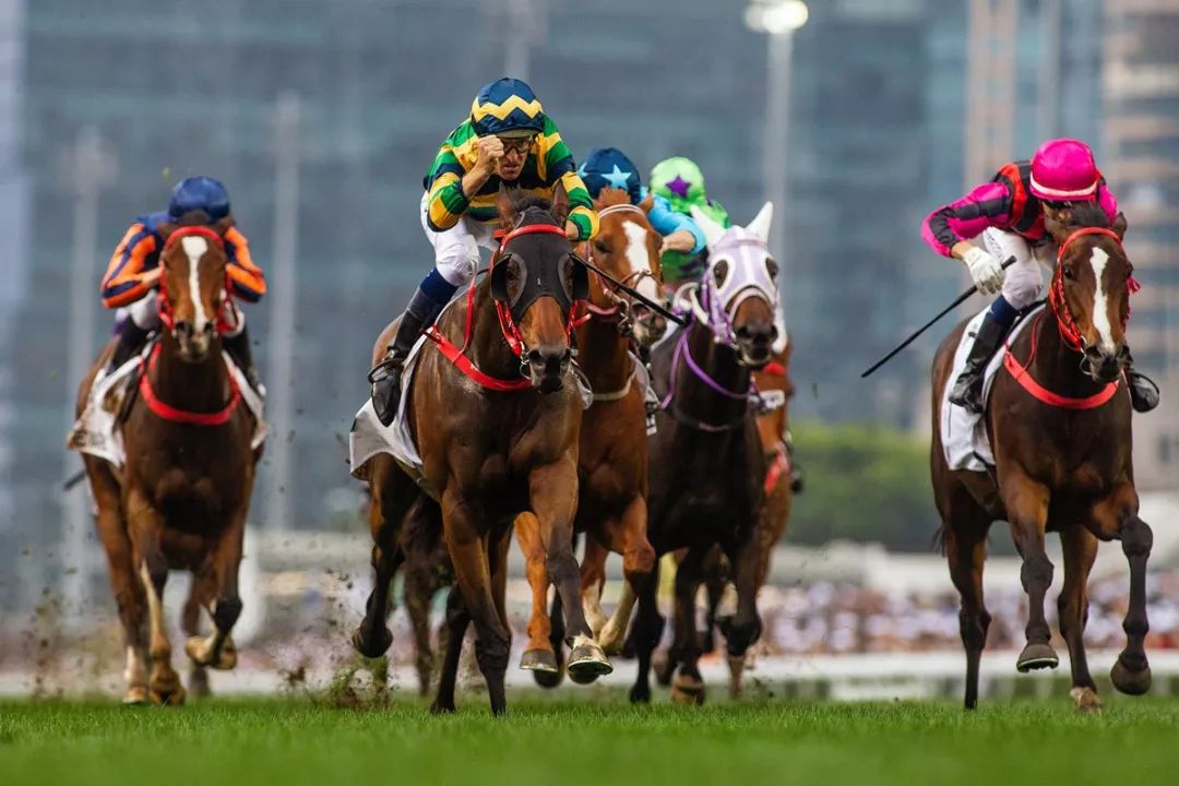 哪些世界级名驹有资格瓜分5800万港元总奖金？富卫保险冠军赛马日参赛马匹名单出炉！