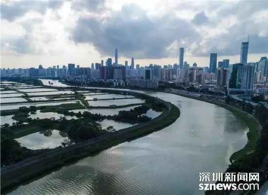 深圳河全景图片,深圳河水质怎么样