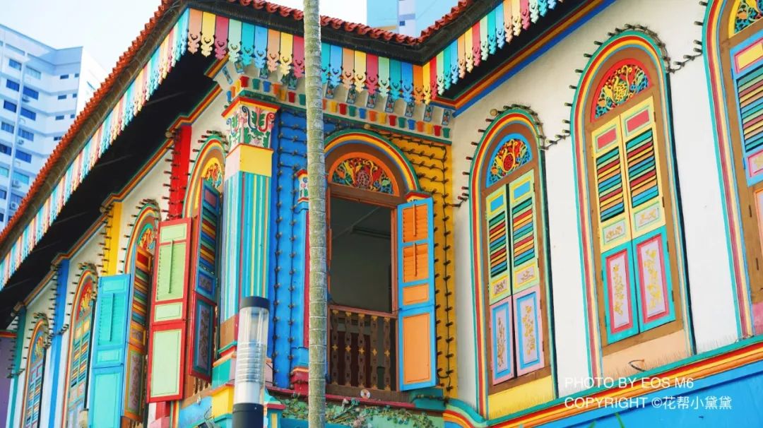 真香原版图片大全,新加坡图文旅游攻略