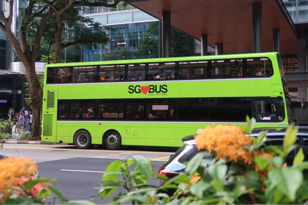 真香原版图片大全,新加坡图文旅游攻略