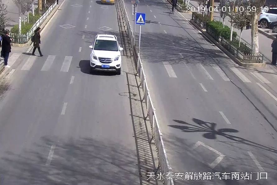 交通违法曝光台案例,交通违法曝光台