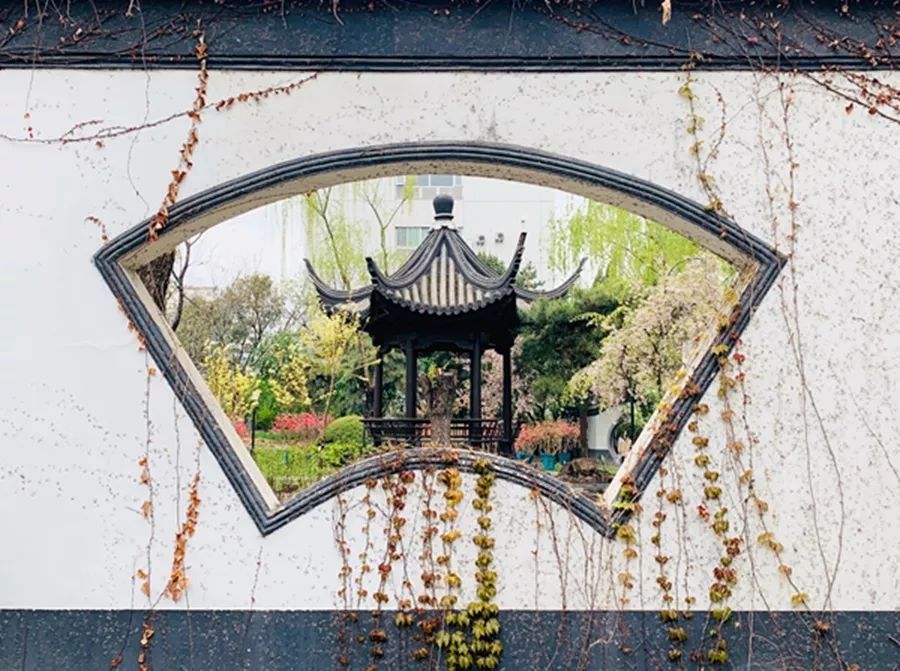 中日友好医院专家贾立群治愈癌症,中医贾立群真的很厉害吗