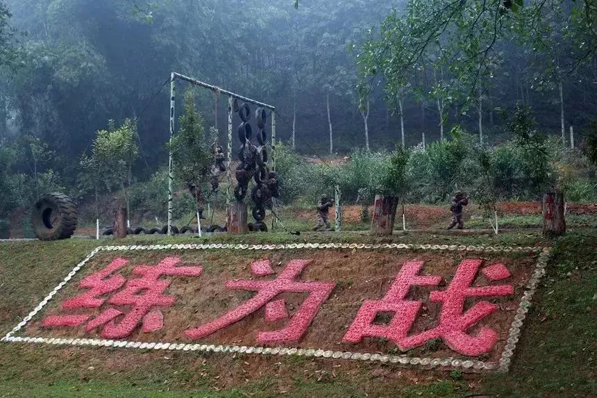 解决形式主义报告,解决形式主义问题整改措施