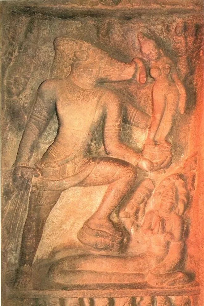 野猪的“世界史”,也是一部《权力的游戏》