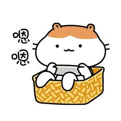 厦门街头硬核标语，话糙理不糙