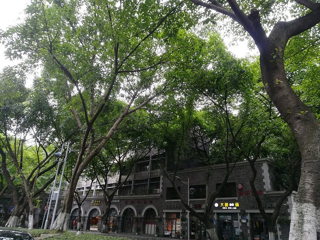 长江三峡重庆游七天六晚,重庆慢节奏旅游攻略