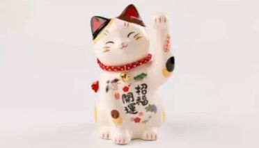 喵奴打卡必选。和歌山喵喵站长！据说喵喵站长曾经差点家都没了