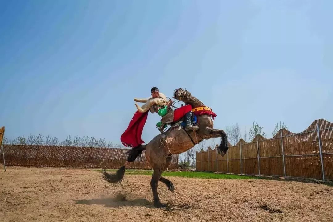 赏花采摘看马战，快来祥和庄园迎娶“春天”！