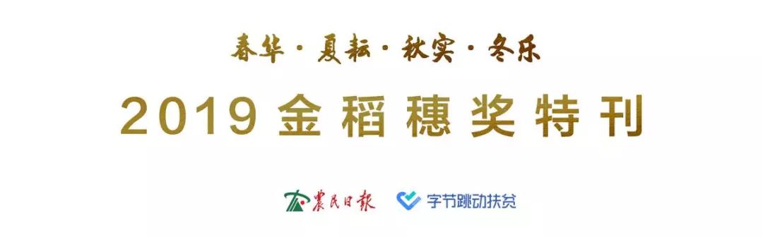 我爱种菜团队晓月种土豆的全过程,我爱种菜西兰花种植经验