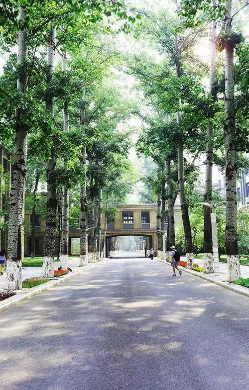 【独家重磅】北京航空航天大学北京排名前800名任选专业