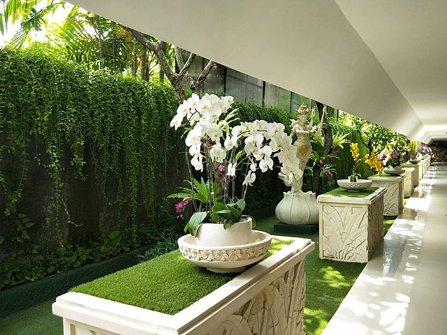 巴厘岛漂流跟团游一日游,巴厘岛冲浪潜水行程推荐