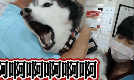 感冒发烧为什么大医院不建议输液,感冒发烧正确的输液处方