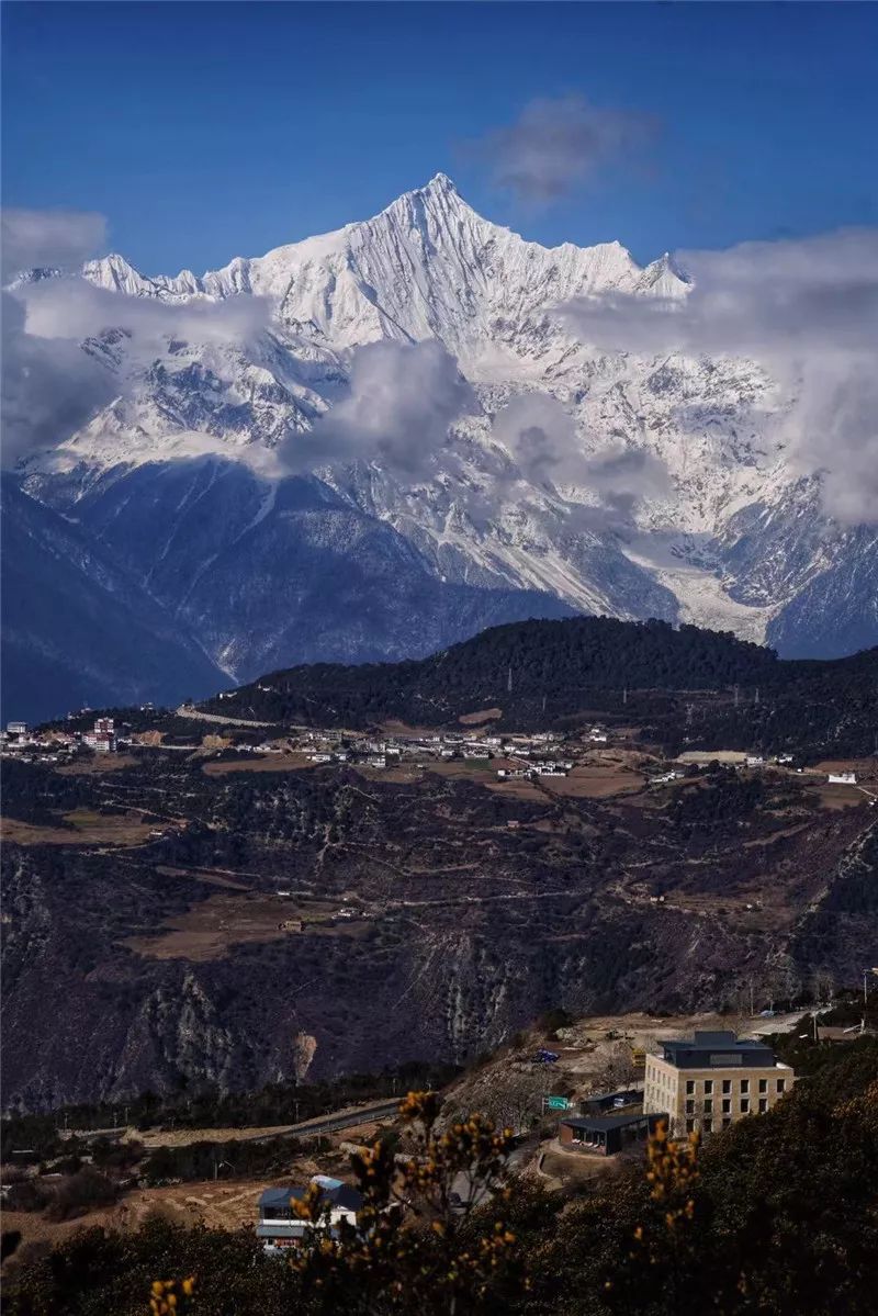 5折入住,抖音推荐的网红酒店