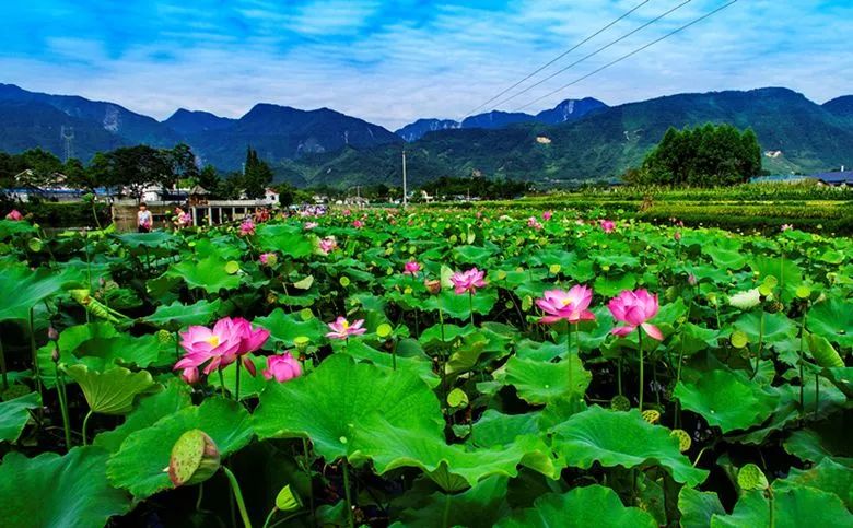 绵州安州景点,绵阳天府春晓两日游攻略
