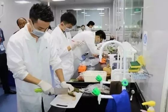 9大行动！罗湖掀起了一股热潮！齐心协力干好这件事！