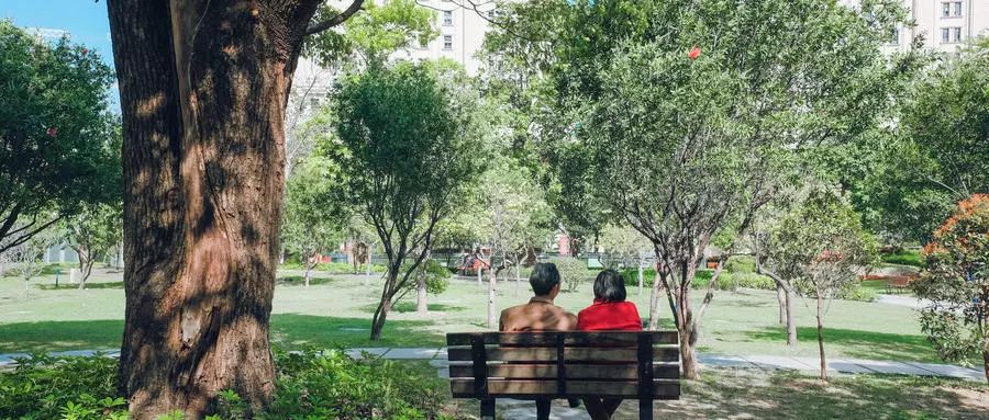 老年人记忆力减退吃什么食物好,老年人记忆力减退补充什么维生素