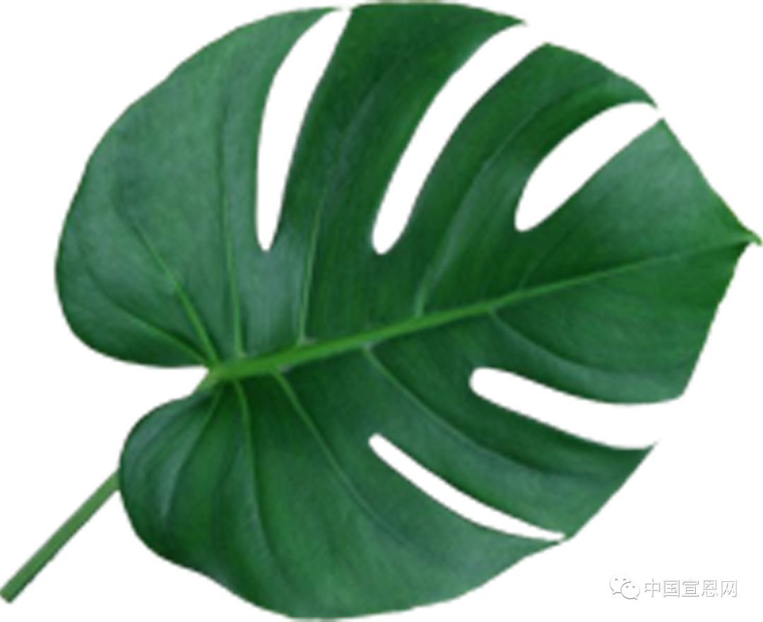 单位不给缴公积金怎么办,单位不缴公积金怎么处理