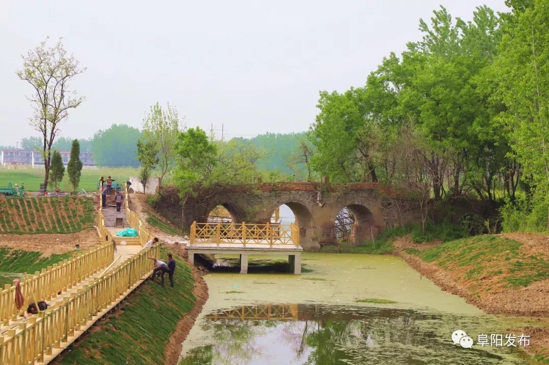 新疆昭苏县千亩芍药盛开,3a景区有哪些村