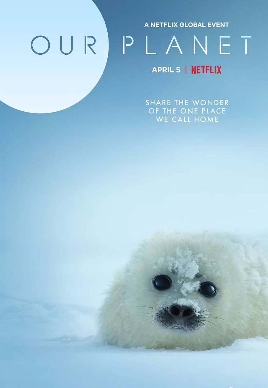 bbc经典必看十大纪录片,bbc十大经典纪录片9.9