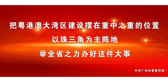 增城最火爆网红景点,增城客流量