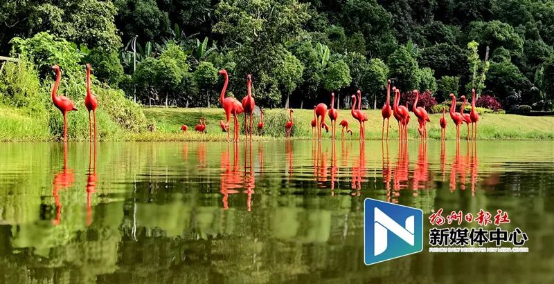 福州地铁4号线沿途美景美食,福州地铁4号线美食打卡