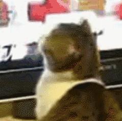 甬台温高速上，93年男子驾驶白色轿车挟持了一名年轻姑娘？！警方调查发现…