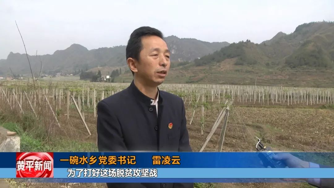 八月瓜，成为一碗水乡村民的增收“致富瓜”