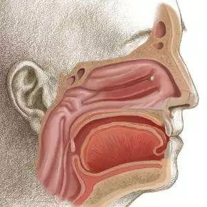 单侧鼻塞一定是癌吗,单侧鼻塞是鼻癌吗