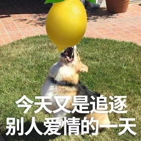 当代大学生谈恋爱花销,大学生谈恋爱多烧钱