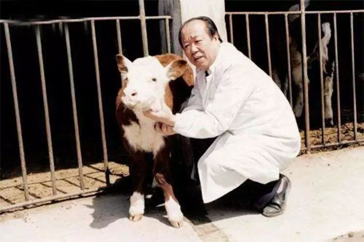 赞牛原切牛排,赞牛最好的一首诗