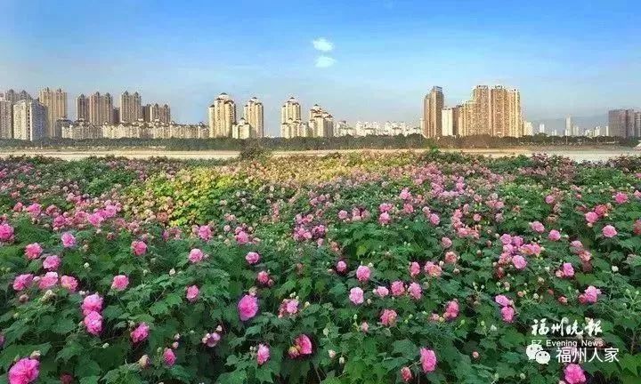 地铁2号线试乘券领取现场超火爆!我们汇总了沿线美景美食!