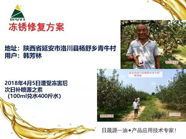 天然的芸苔素可以经常用吗,正确认识芸苔素