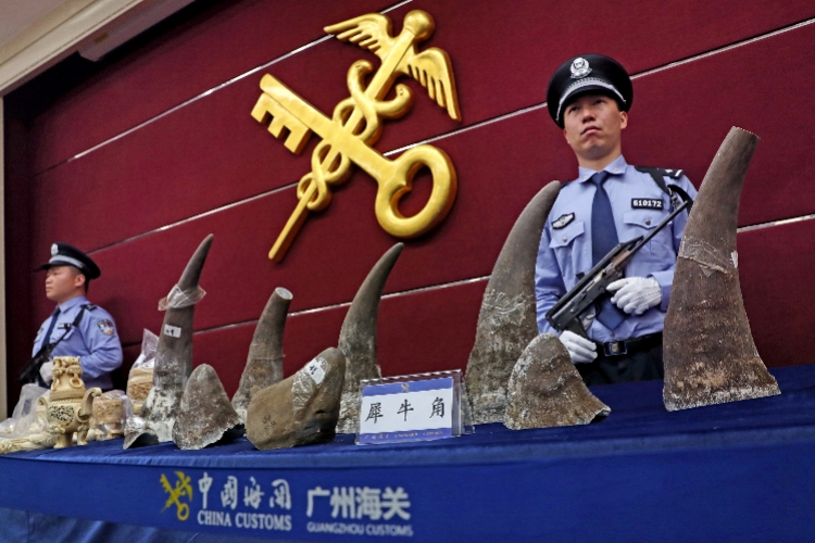 海关查获的犀牛角象牙最后的去处,海关破获走私象牙犀牛角大案