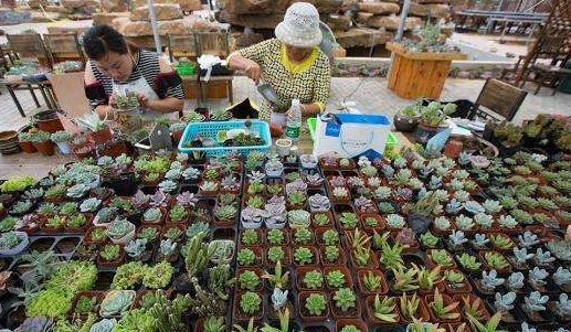 蹲点采访一线者的心声,蹲点采访环卫工人8小时工作