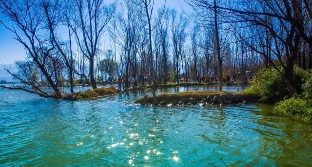 四川有座紫色小城，5月比美澳洲，比大理更多情