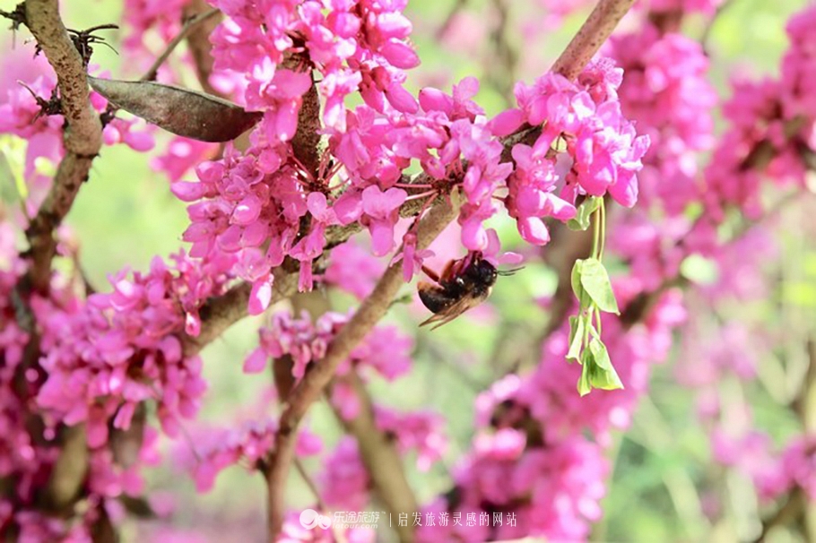 带你领略宜昌的风土人情,带你玩转自然景观与人文历史