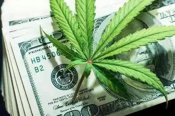 工业大麻发展情况,工业大麻产业发展前景