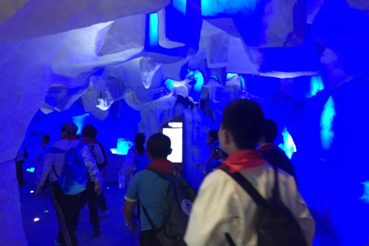 西安研学之旅活动感受,西安海洋馆华夏之旅研学体会