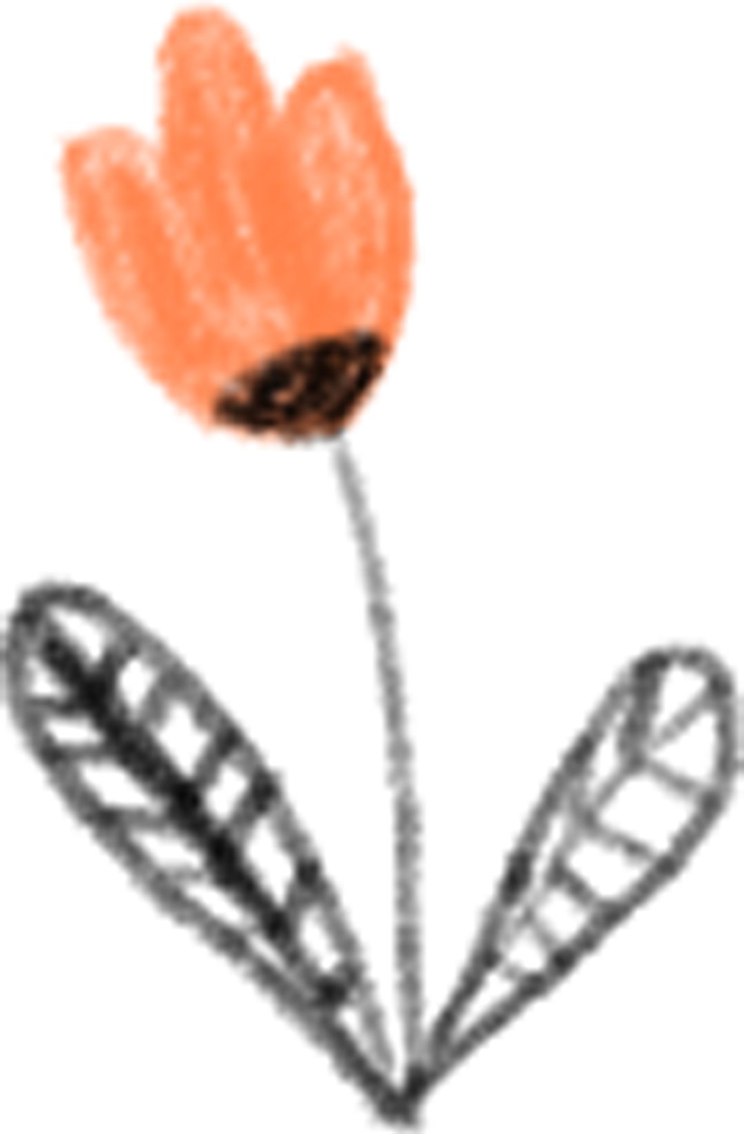 招聘挂职见习生,金山区大学生暑期挂职锻炼