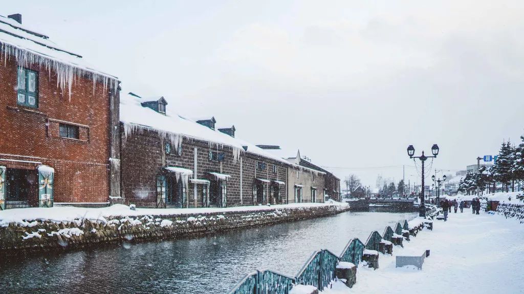 日本确定3月1日开放入境吗,日本开放办理工作签证的最新消息