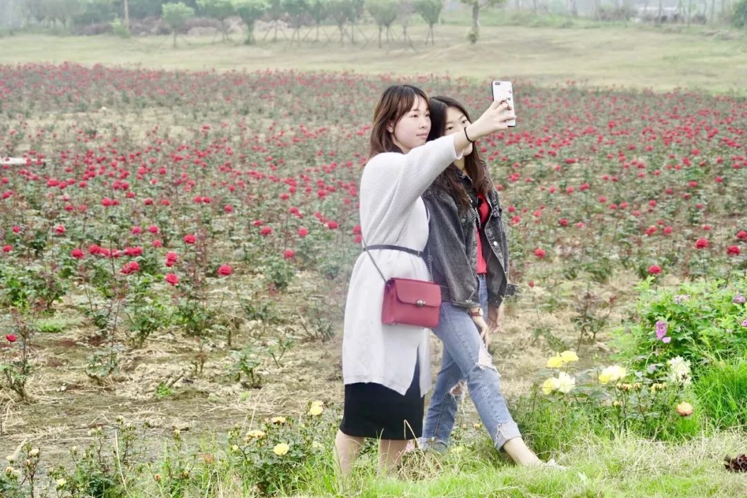 不必远行自有风景,不必远行在家度假