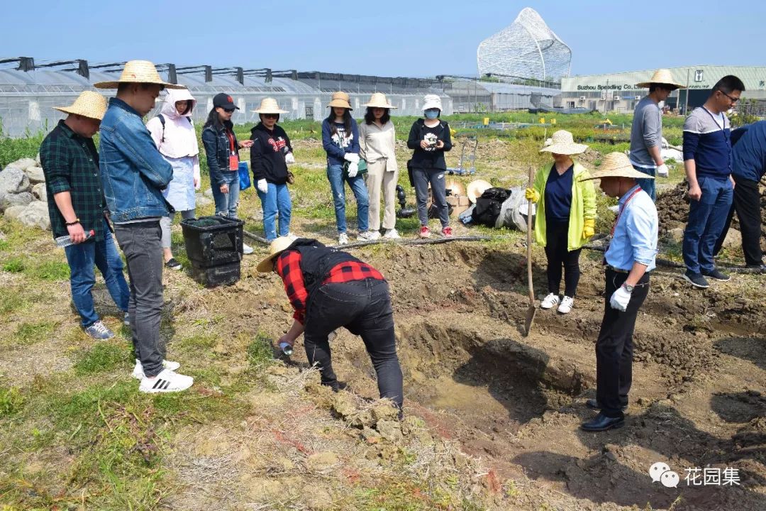 庭院自动喷灌效果图,地埋式喷灌庭院