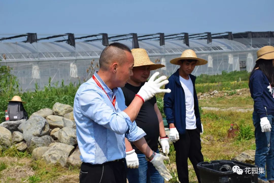 庭院自动喷灌效果图,地埋式喷灌庭院