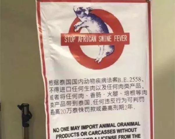 女子过海关被查完整视频,过海关女子被判死刑