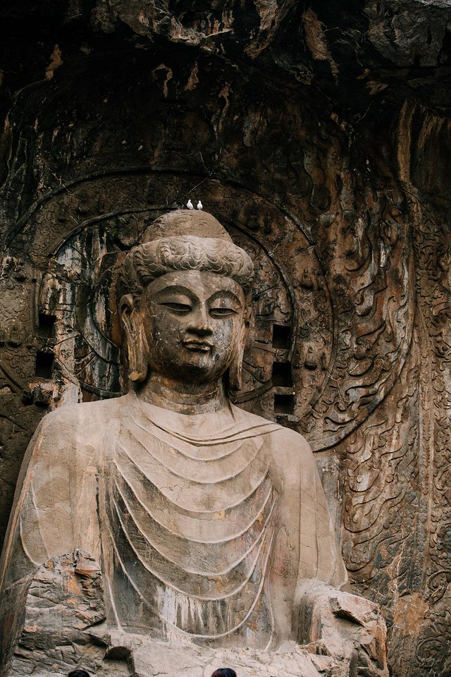 璞鍙ら兘涔嬬編,璞娌冲崡鍙戠幇涓嶄竴鏍风殑涓師涔嬬編